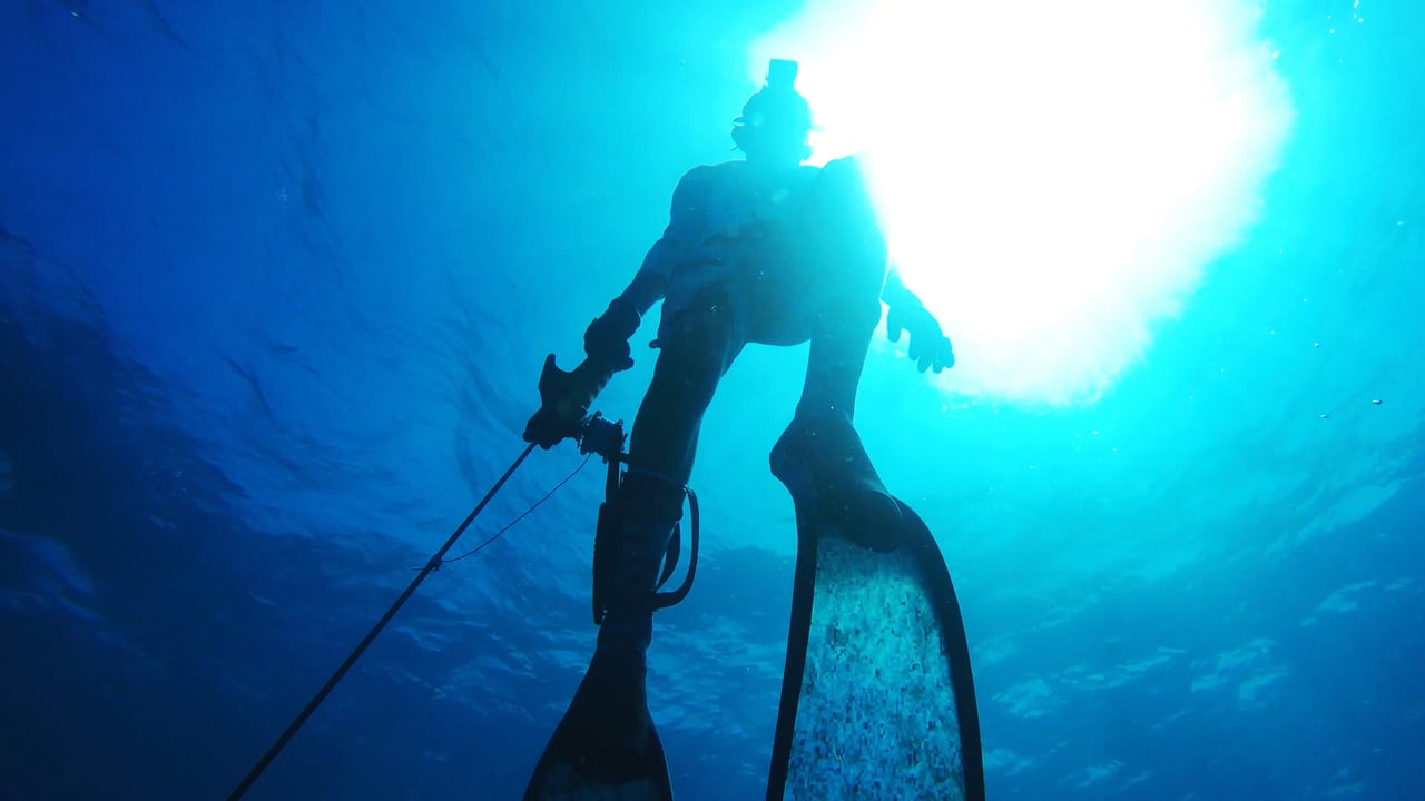 Spearfishing in The Bahamas