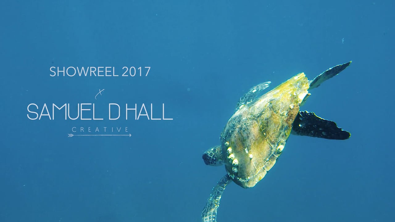 Samueldhall Showreel 2017