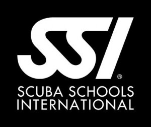 SSI Logo 300x252