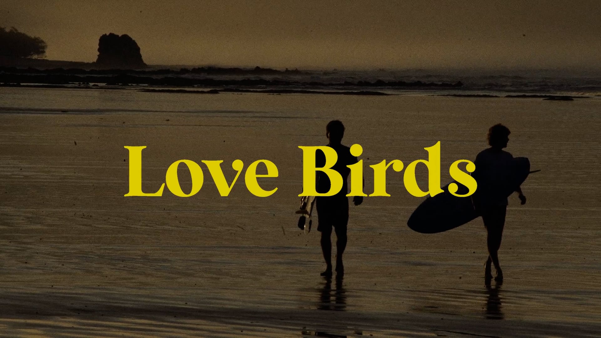 LOVE BIRDS TEASER